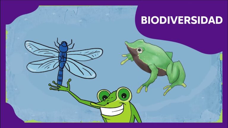 Explorando la biodiversidad con niños: Ecosistemas en primaria